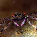 , photo taken in Indonesia, Bali, Tulamben, Kunaji