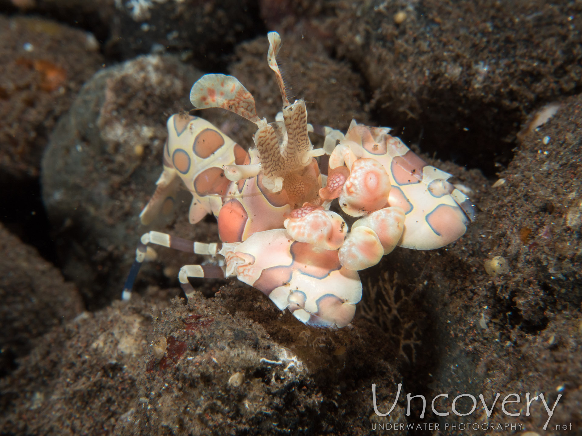 Indonesia, Tulamben, 12th August ’16: Melasti
