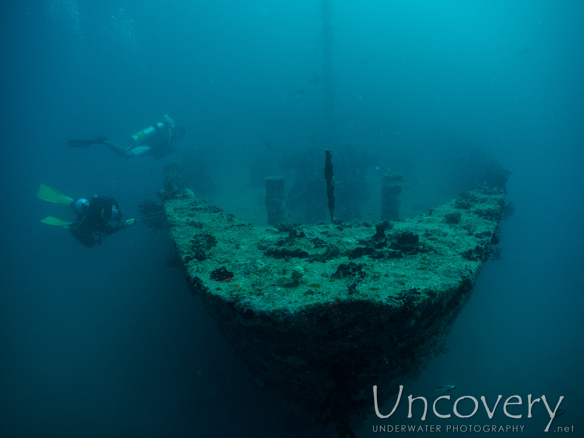 Maldives, South Male Atoll, 16th December ’16: Alia Wreck