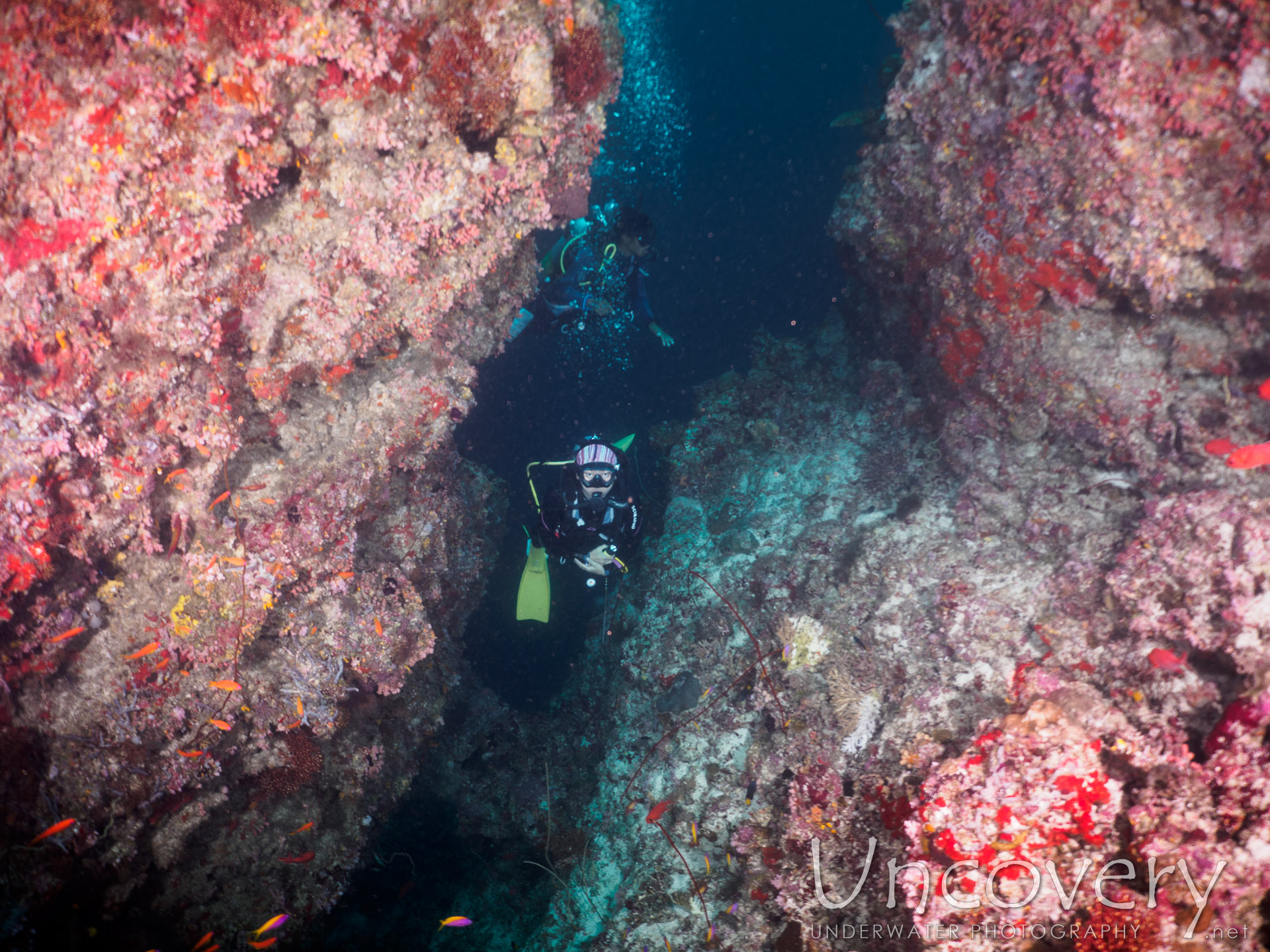 Maldives, South Male Atoll, 24th December ’16: Emboodhoo Canyon