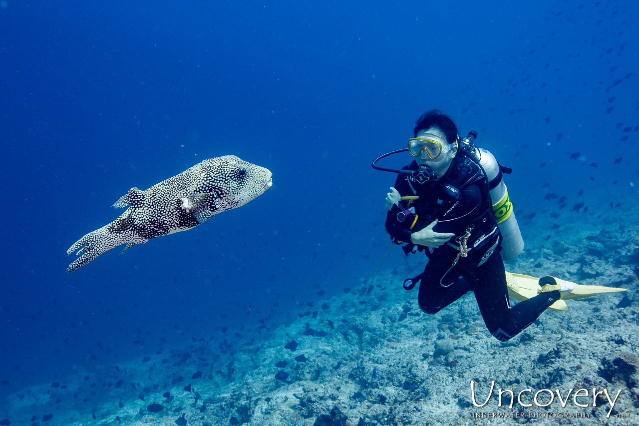 Maldives, South Male Atoll, 4th April ’23: Velhigandu Beiru