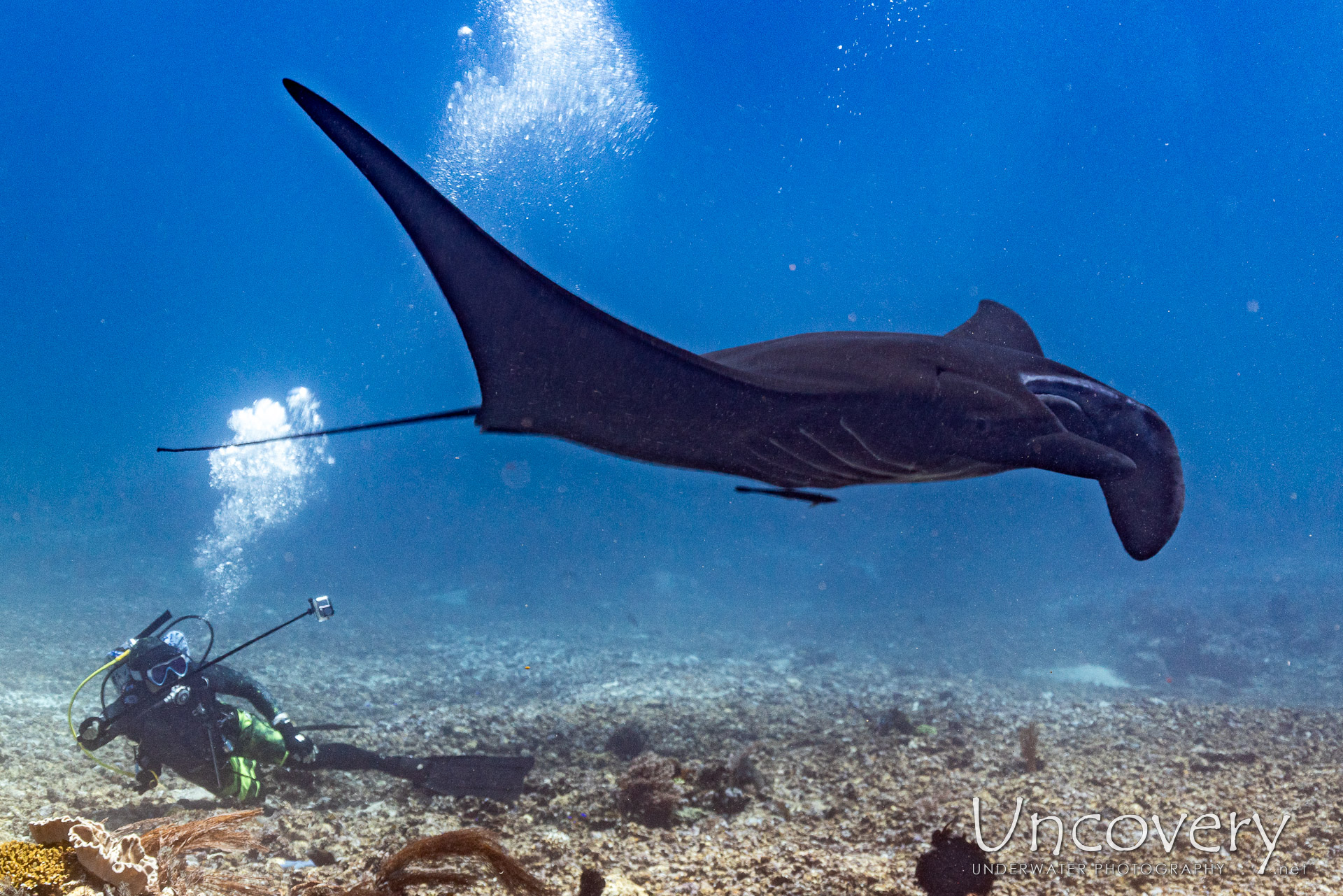 Indonesia, West Manggarai Regency, 13th August ’25: Manta Point